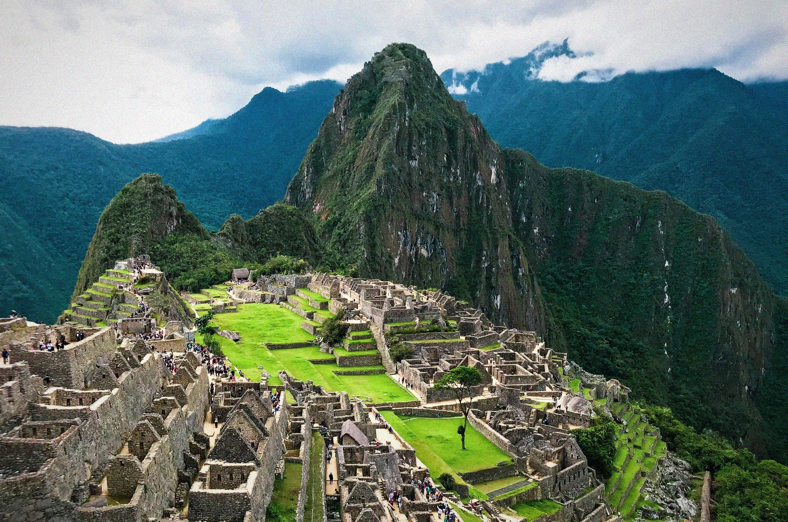 Les terrasses vertes et ruines de pierre du Machu Picchu sous un ciel bleu