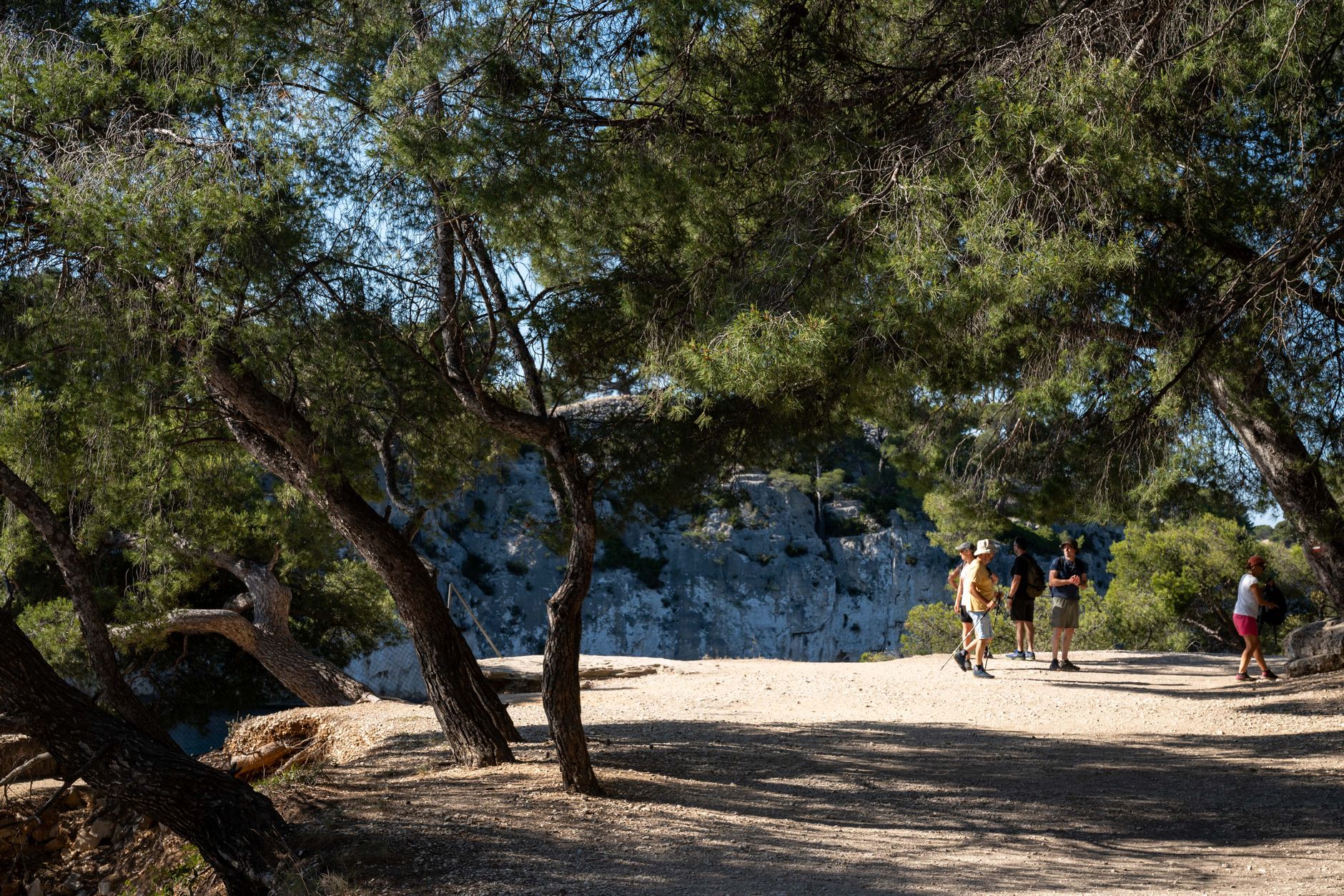 Randonneurs sur un chemin ombragé parmi des pins et des rochers