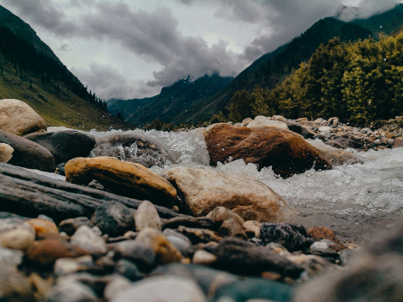 Torrent alpin tumultueux s'écoulant entre rochers et galets