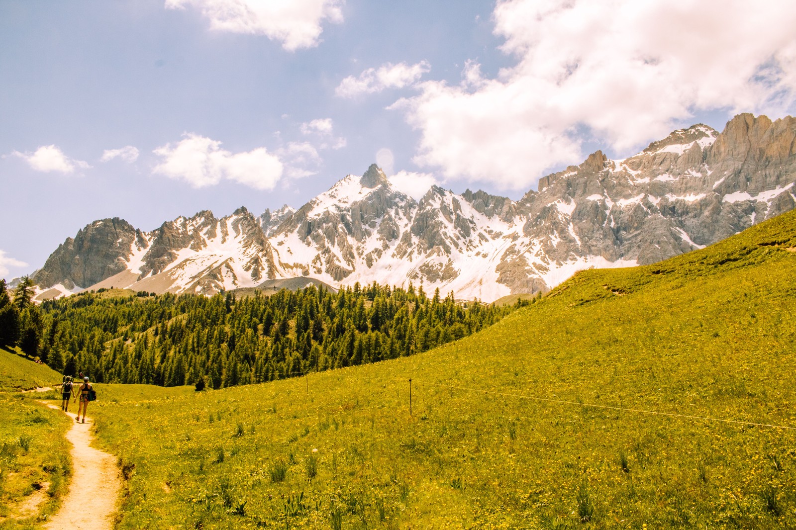 Sentier de randonnée alpine balisé dans les alpages des Alpes du Sud