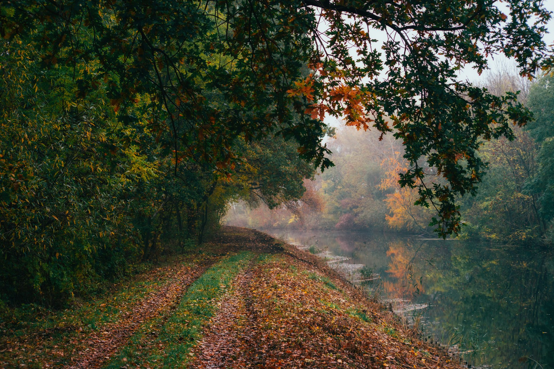 Sentier de randonnée arboré le long d'un cours d'eau en sous-bois