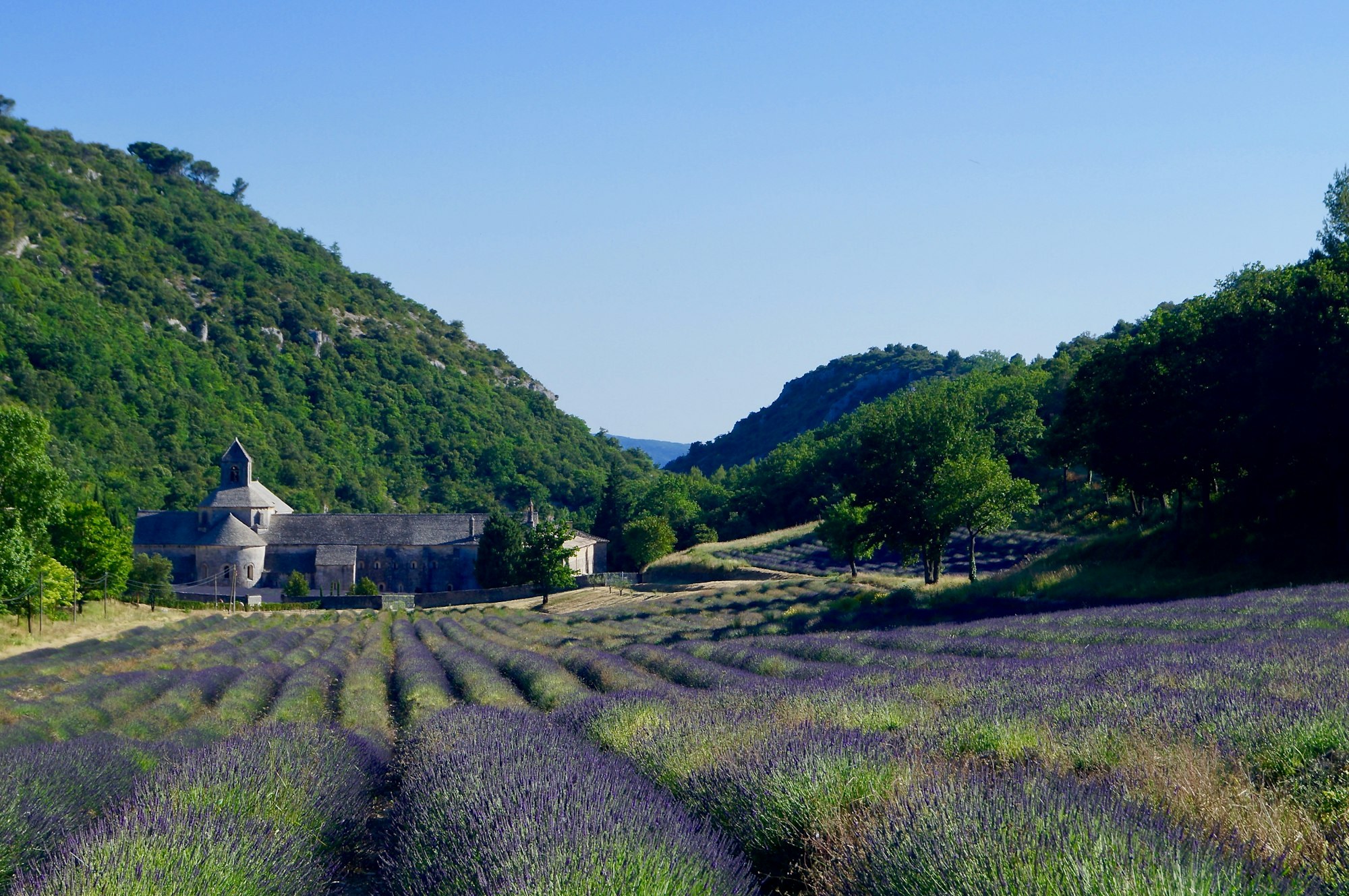 Sentier rocailleux traversant la garrigue au pied des collines provençales