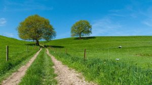 Nouveaux sentiers en pays d auge cinq boucles balisees pour